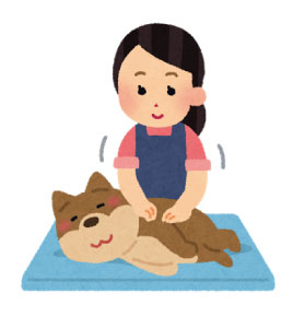 普段からコミュニケーションをはかり、様々な悩みに対してアドバイスしてくれることも多いトリマーは、飼い主様にとって心強い存在であることに間違いありません