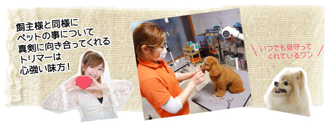 ペットの事に真剣に向き合ってくれるトリマーは飼い主様の心強い味方！