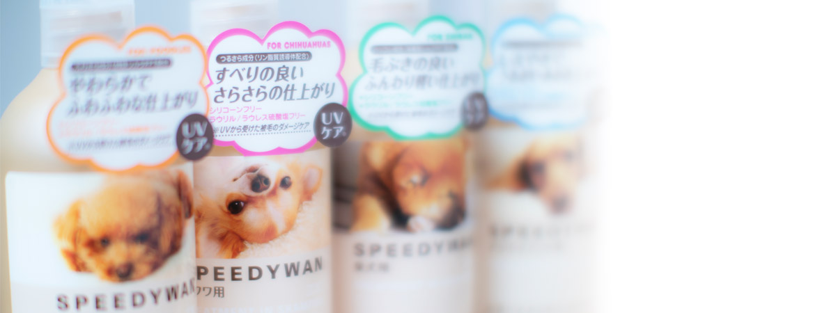 ZOIC SPEEDYWAN