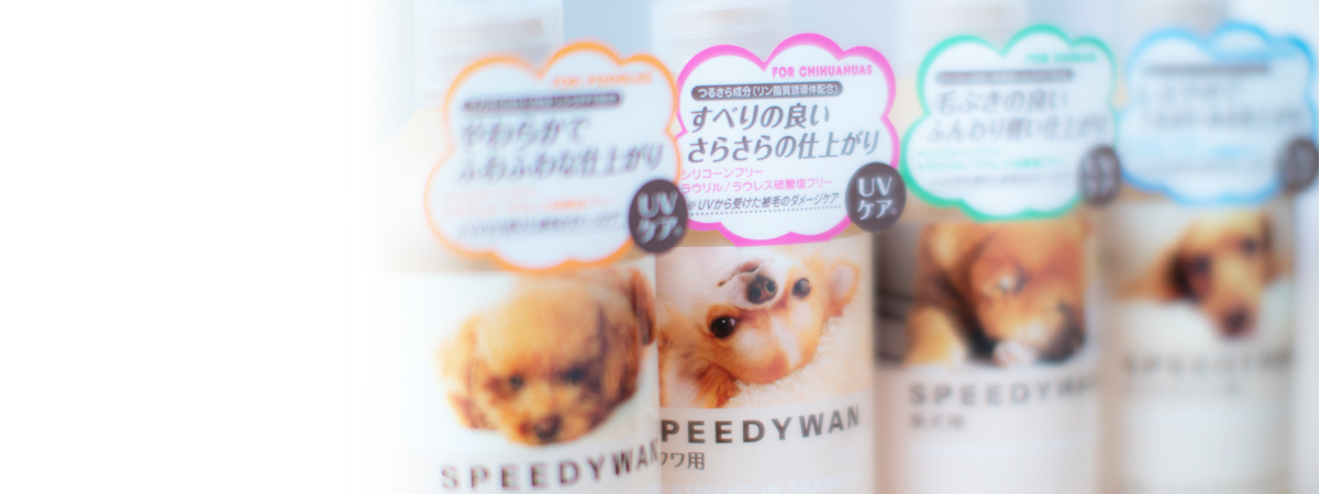 ZOIC SPEEDYWAN