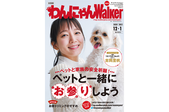 株式会社KADOKAWA「わんにゃんウォーカー2020/12・2021/1月号」