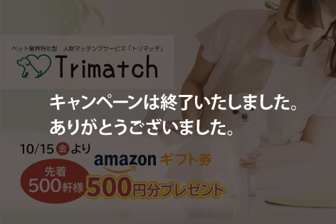 【終了】Amazonギフト券500円分プレゼントキャンペーン開催のお知らせ