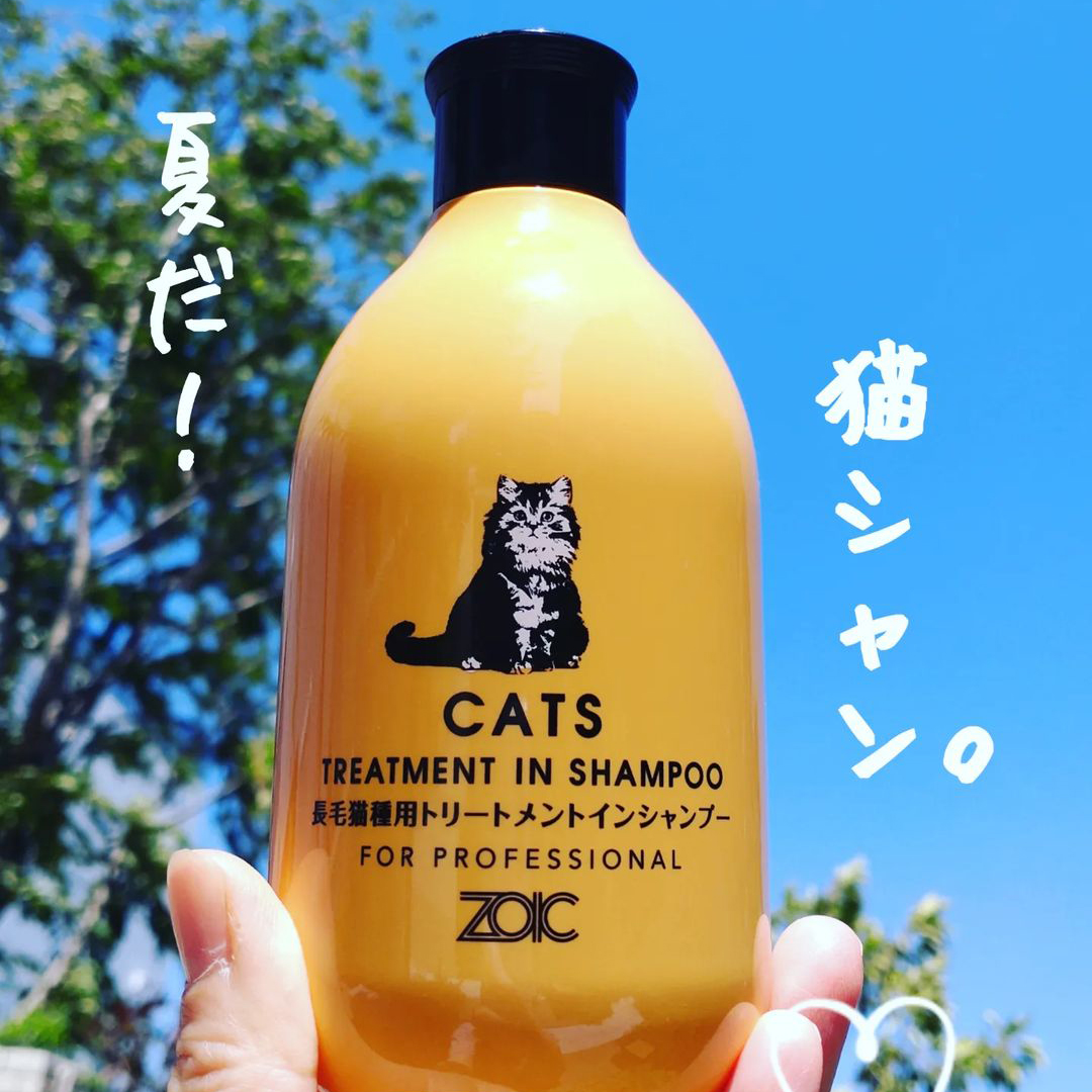 キャッツ アンバサダー ボイス