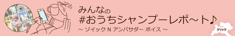 ゾイック N アンバサダー ボイス