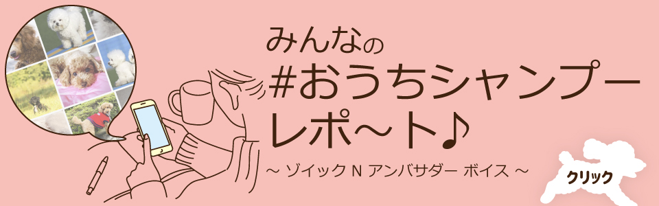 ゾイック N アンバサダー ボイス