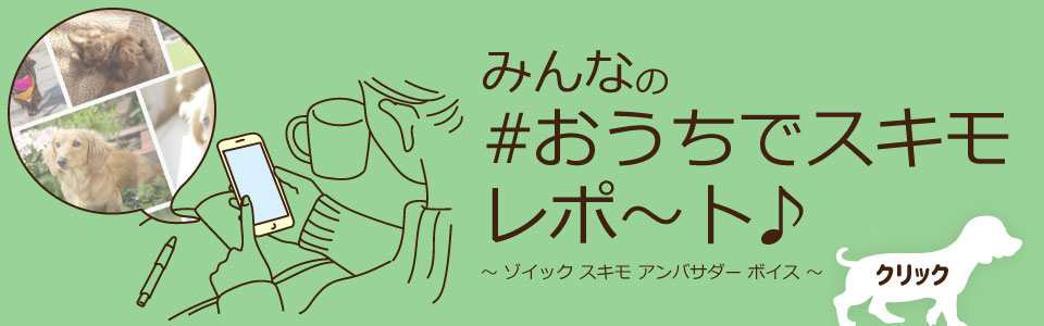 ゾイック スキモ アンバサダー ボイス