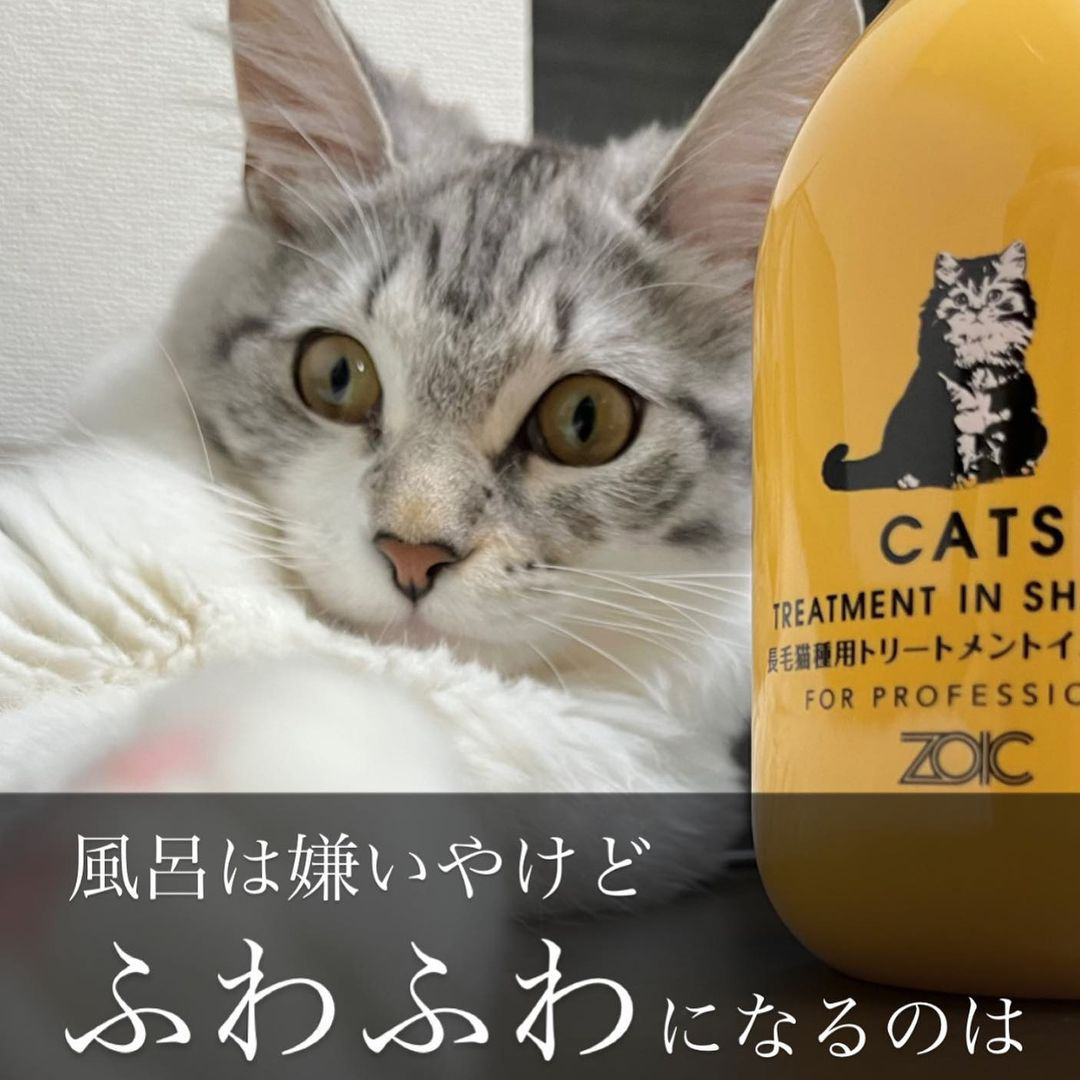 キャッツ アンバサダー ボイス