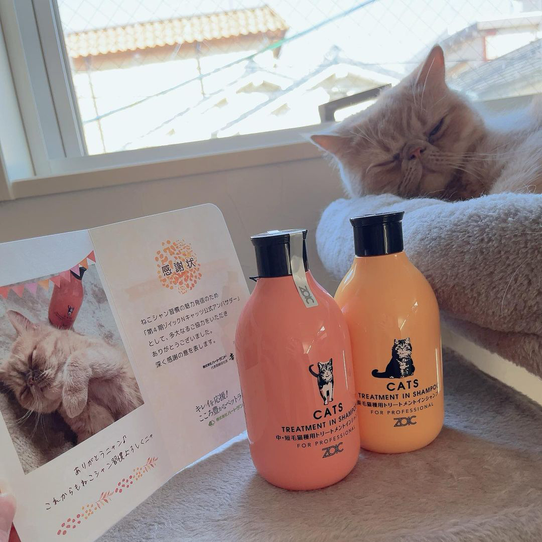 キャッツ アンバサダー ボイス