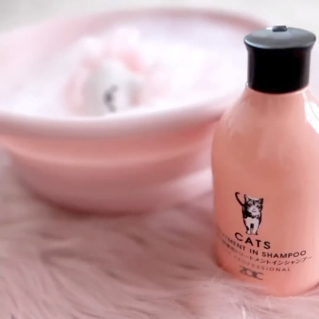 キャッツ アンバサダー ボイス