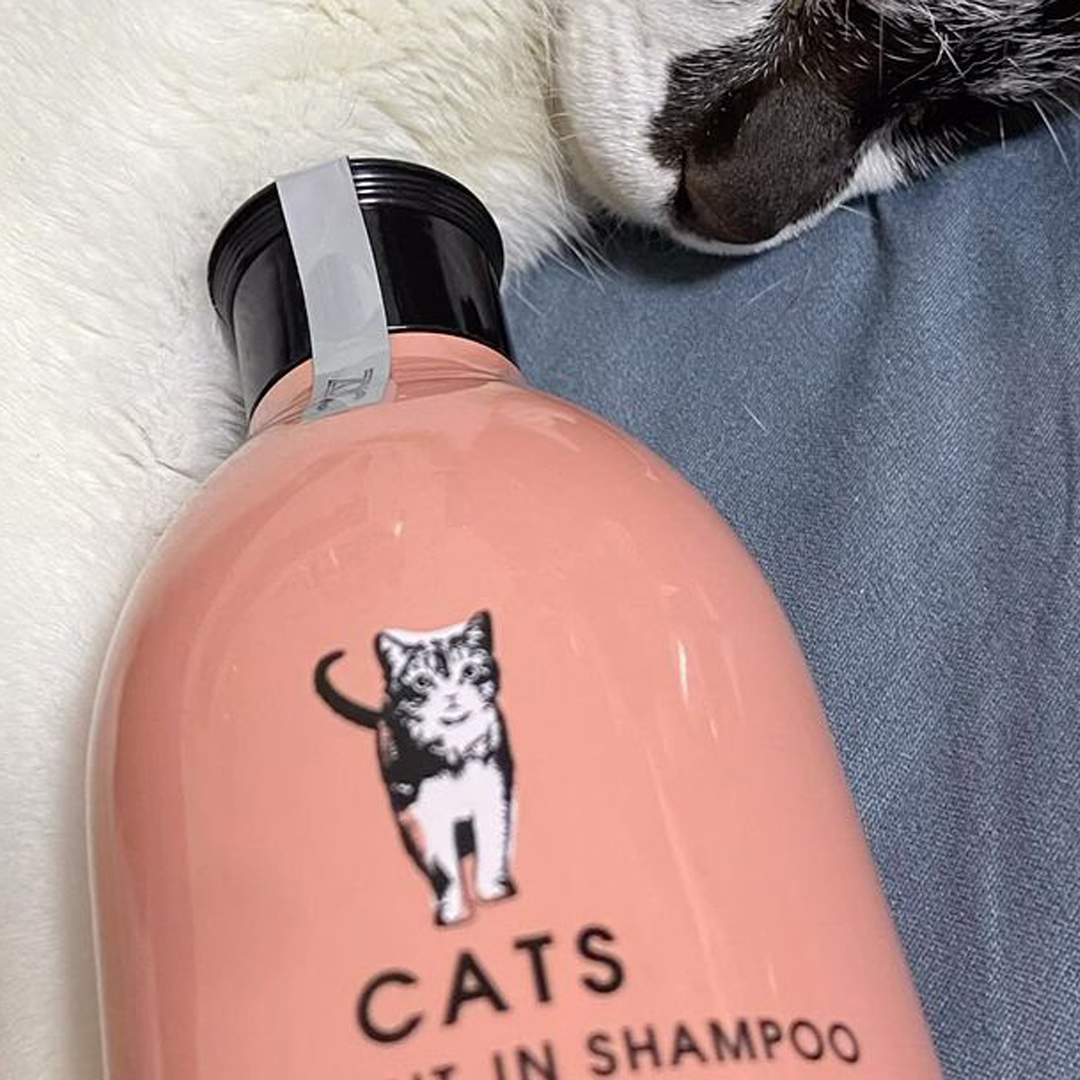 キャッツ アンバサダー ボイス