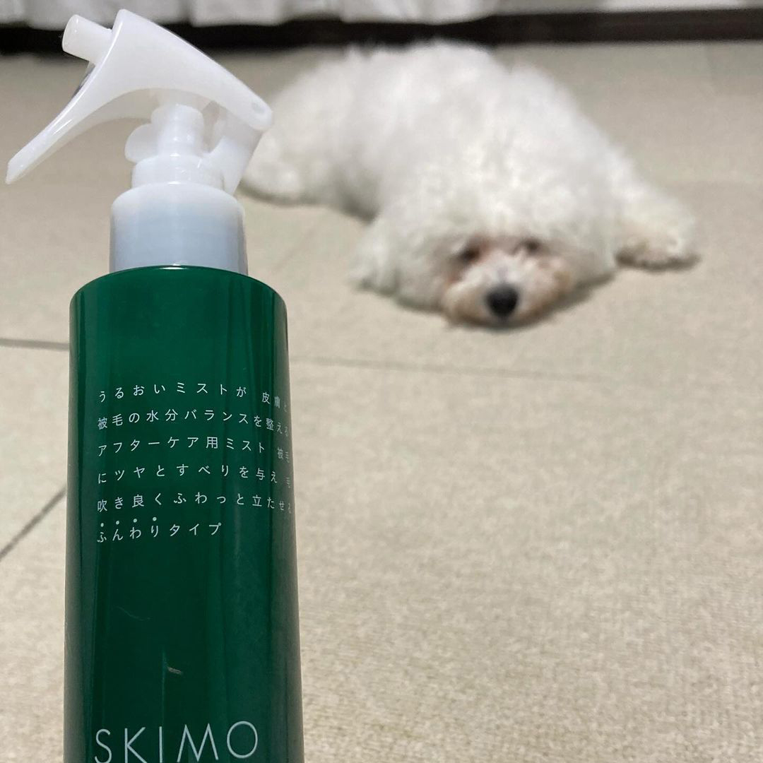 ゾイック スキモ アンバサダー ボイス
