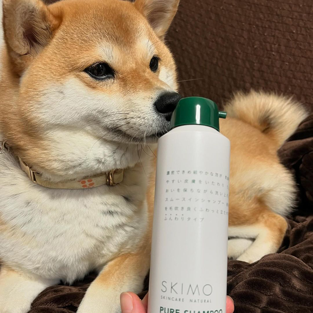 ゾイック スキモ アンバサダー ボイス