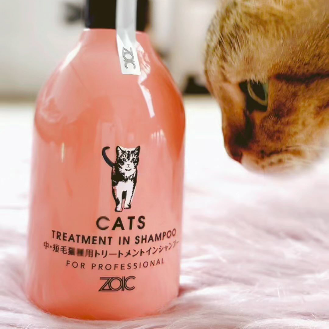 キャッツ アンバサダー ボイス