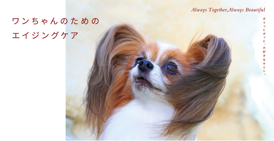 ゾイック マチュア：ワンちゃんのためのエイジングケア