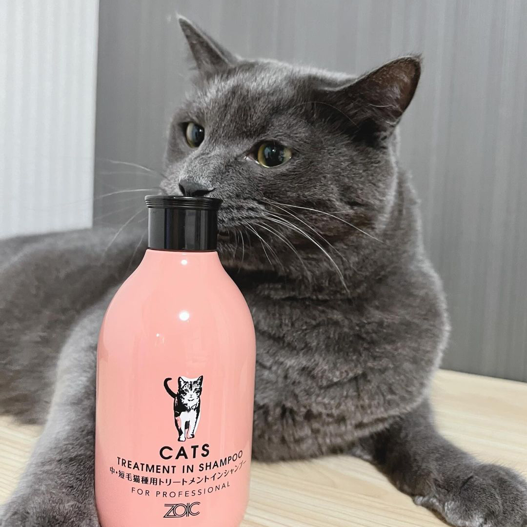 キャッツ アンバサダー ボイス