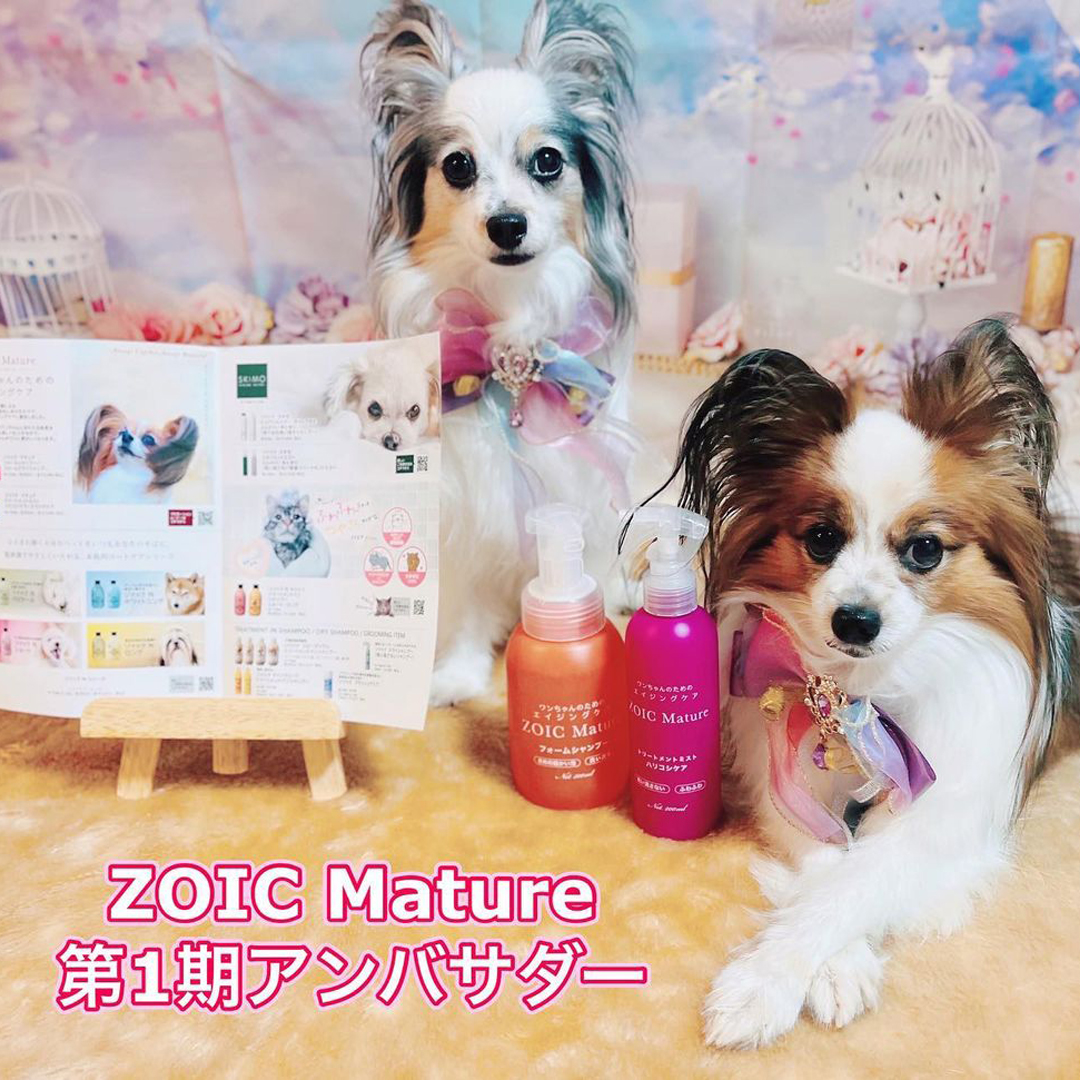 ゾイック マチュア アンバサダー ボイス