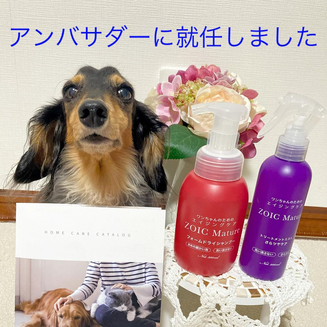ゾイック マチュア アンバサダー ボイス