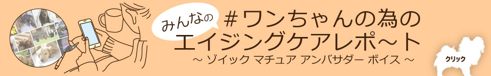ゾイック マチュア アンバサダー ボイス