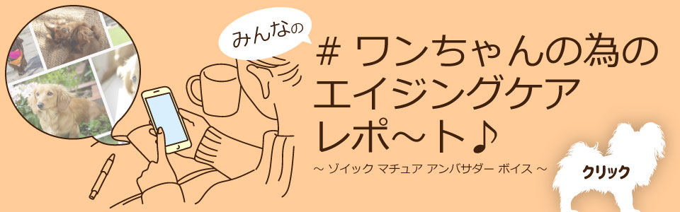 ゾイック N アンバサダー ボイス