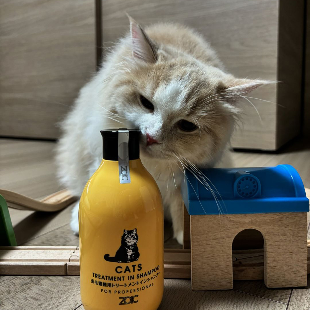 キャッツ アンバサダー ボイス