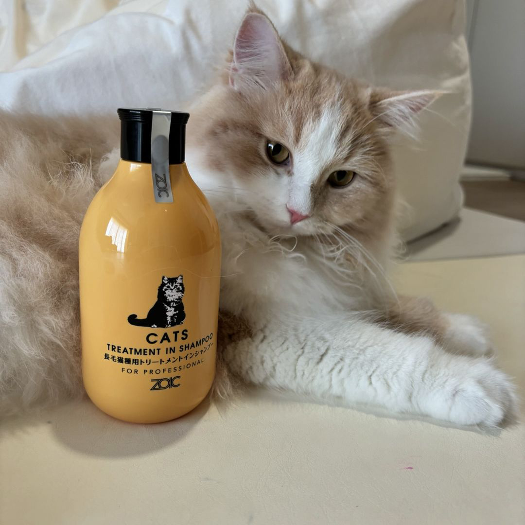 キャッツ アンバサダー ボイス