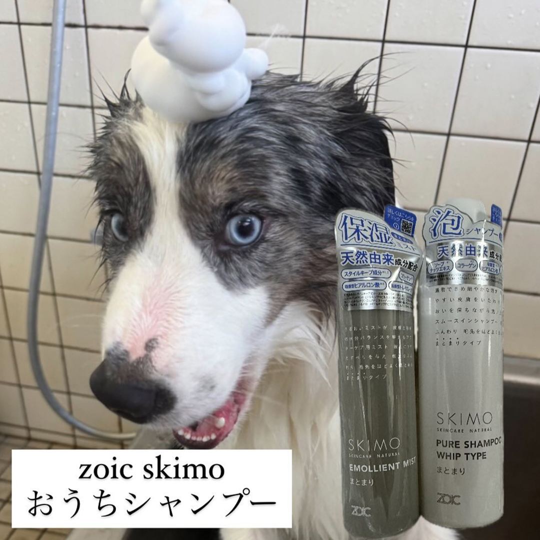 ゾイック スキモ アンバサダー ボイス