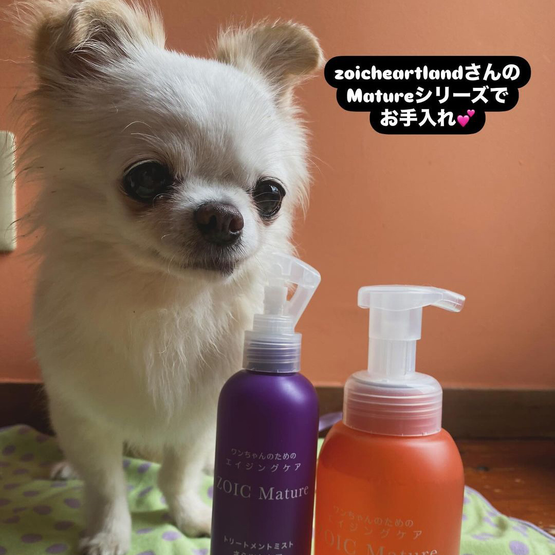 ゾイック マチュア アンバサダー ボイス