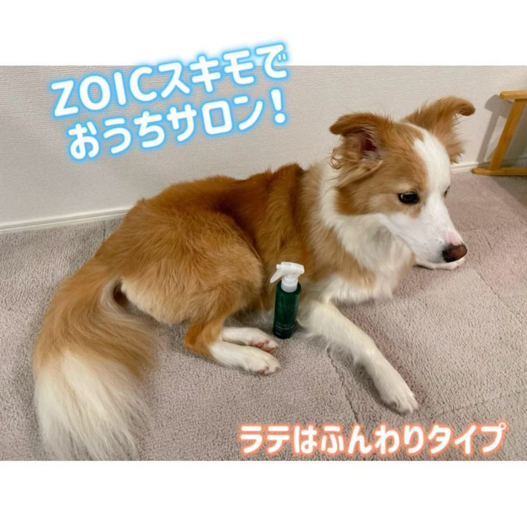 ゾイック スキモ アンバサダー ボイス