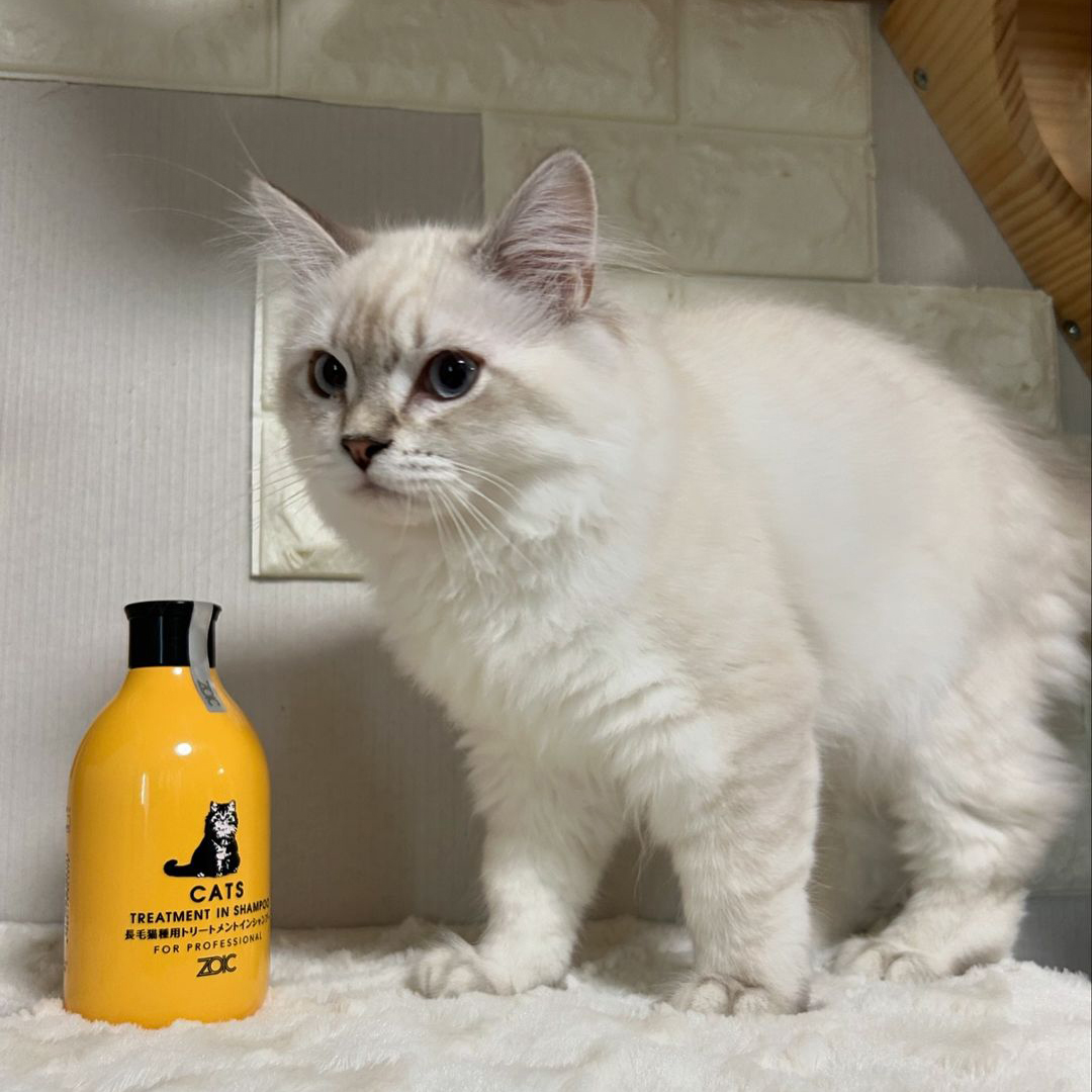 キャッツ アンバサダー ボイス