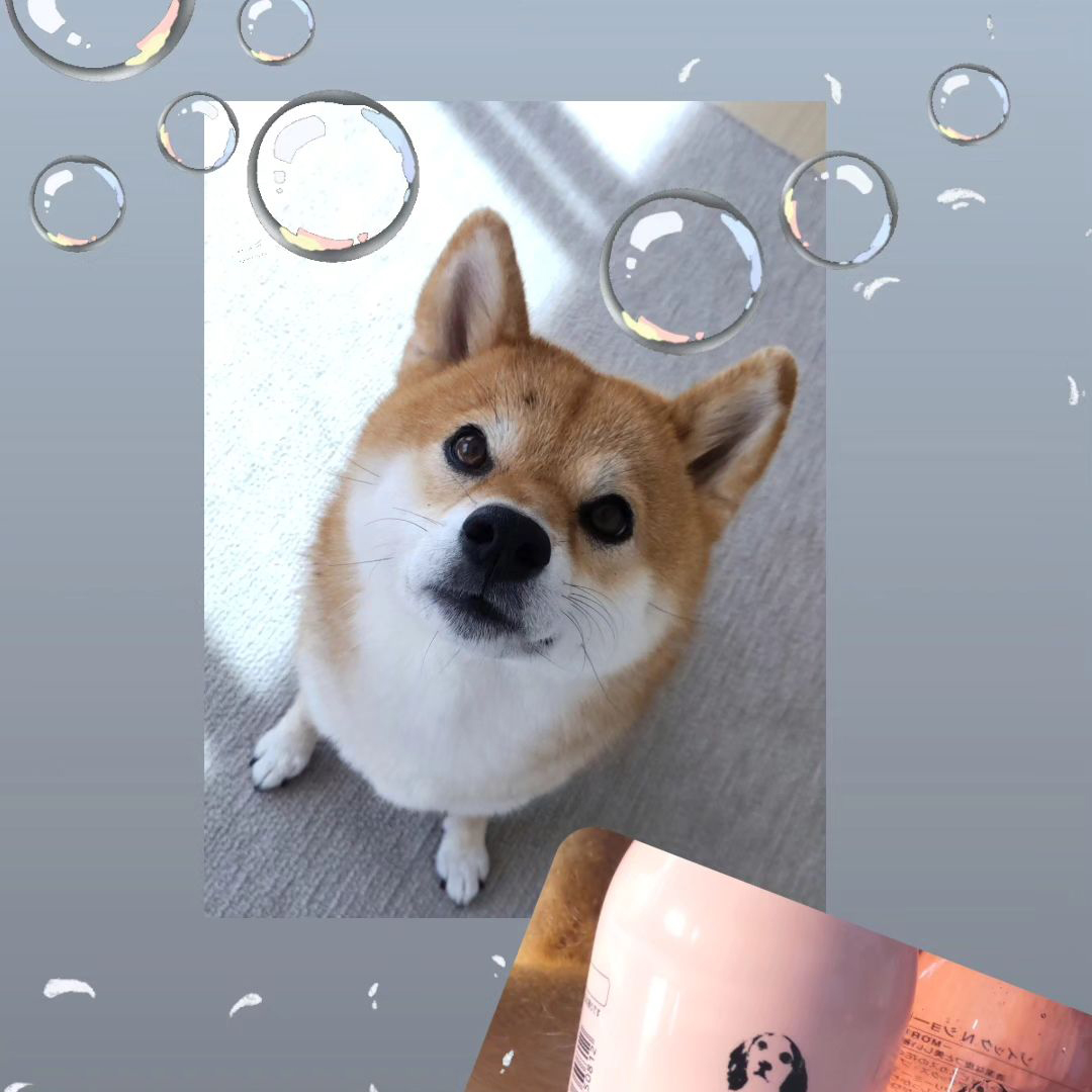 ゾイック N アンバサダー ボイス
