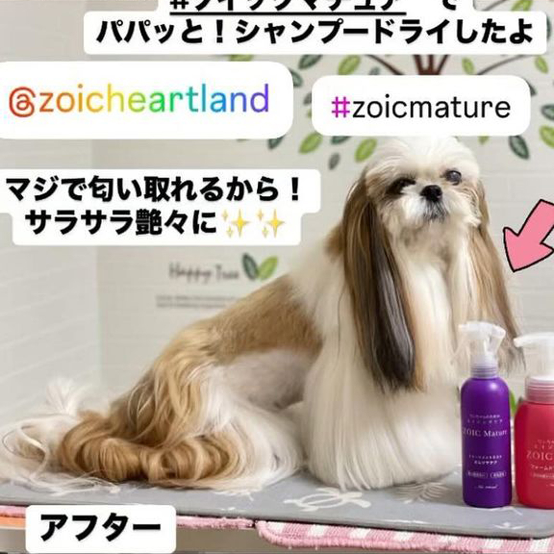 ゾイック マチュア アンバサダー ボイス