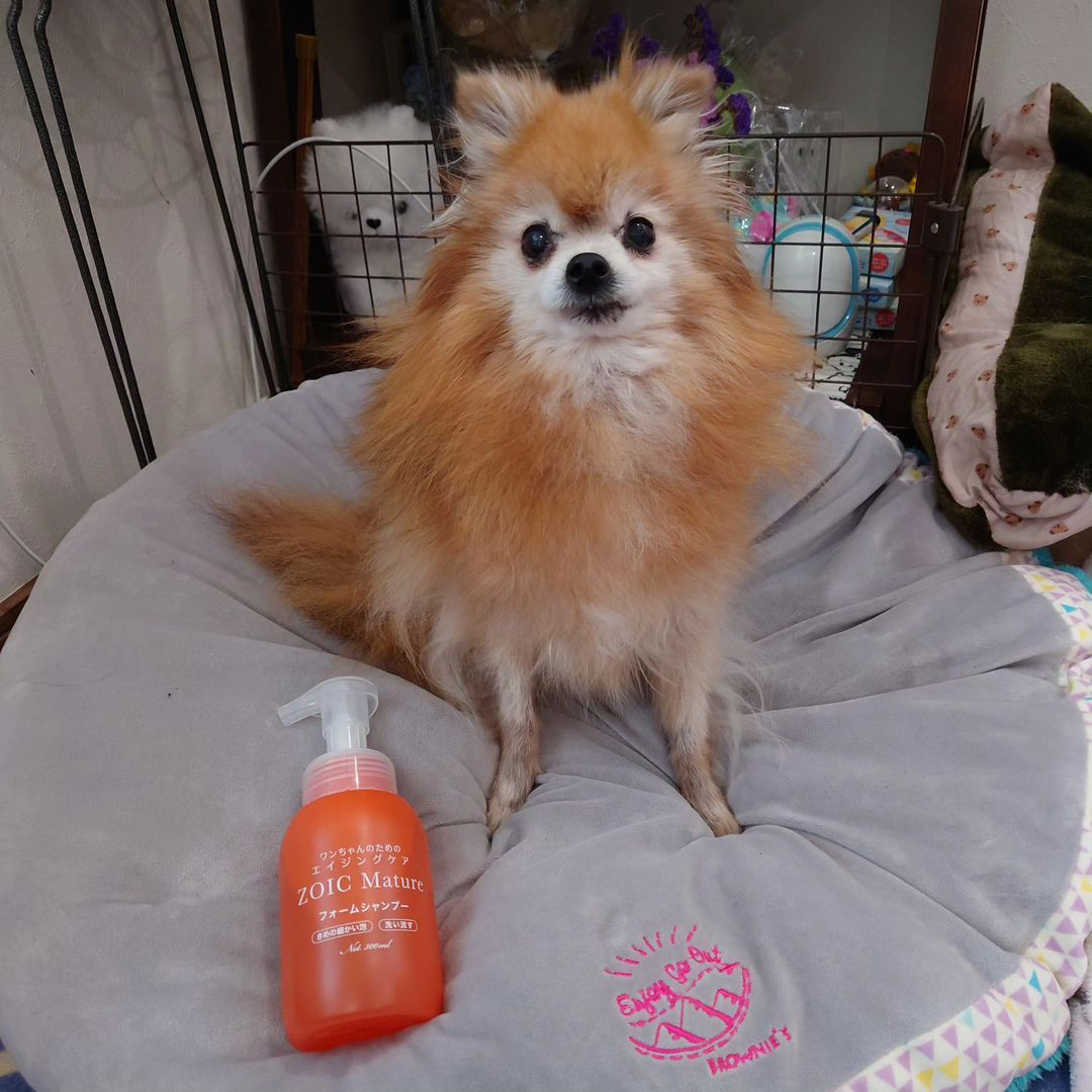 ゾイック マチュア アンバサダー ボイス