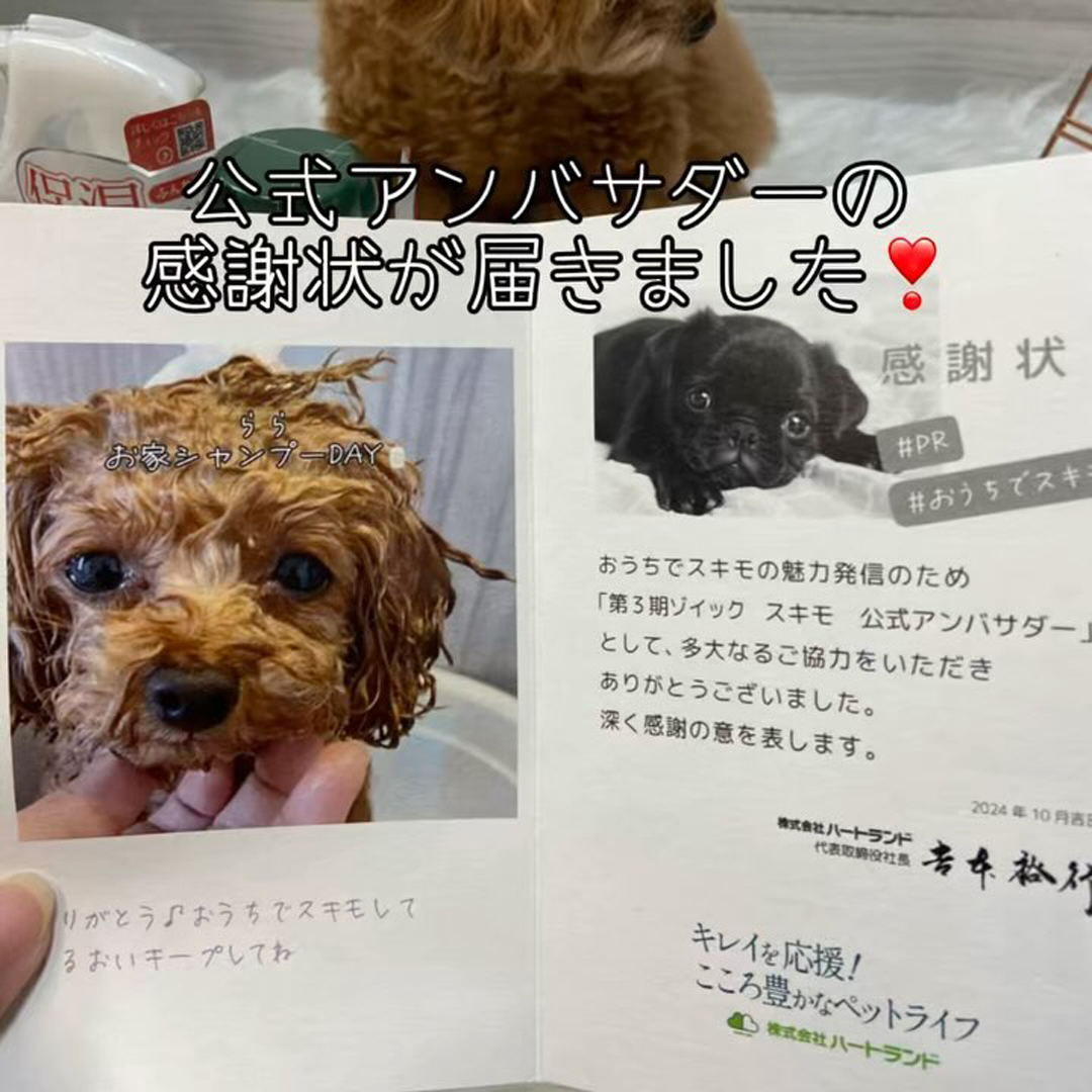 ゾイック スキモ アンバサダー ボイス