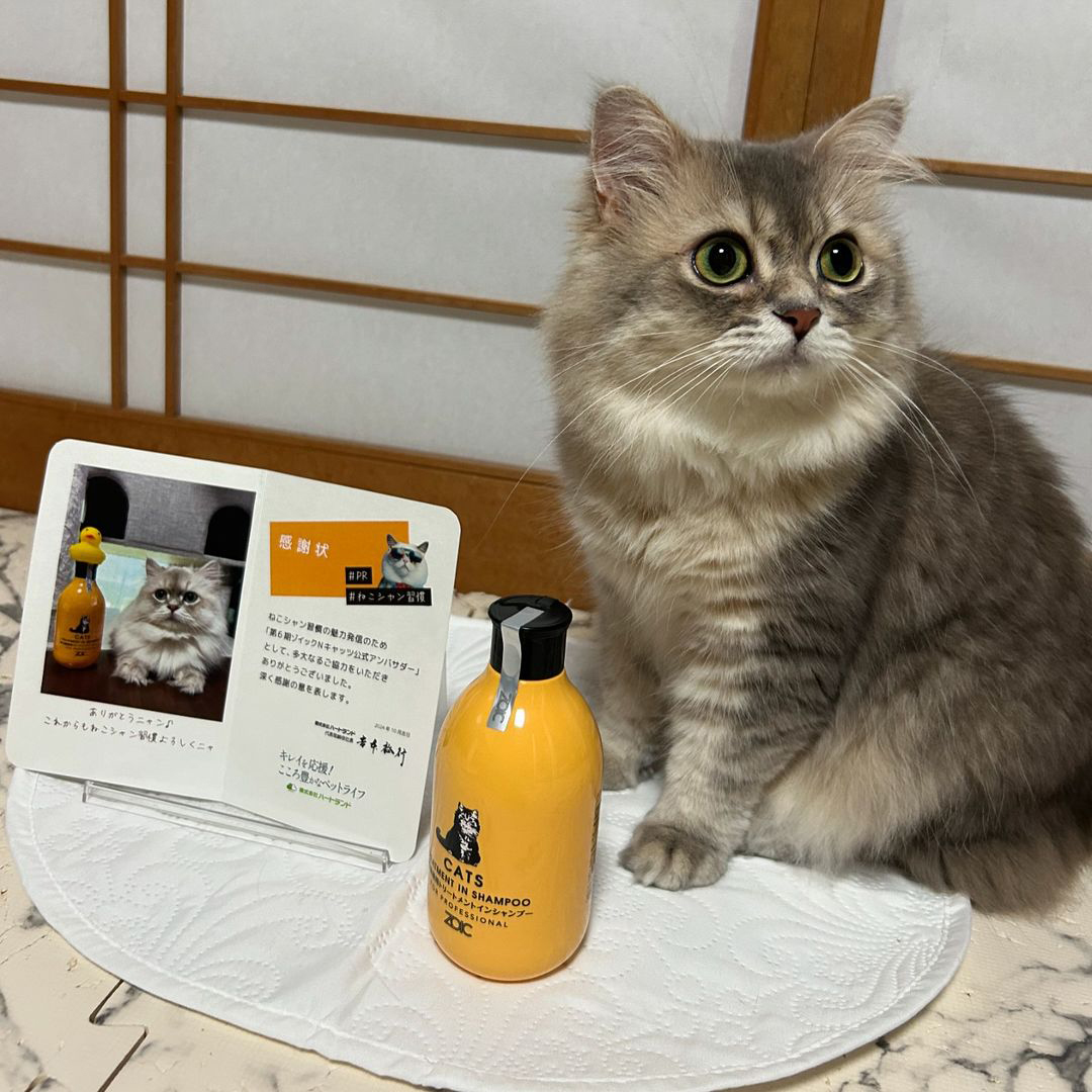 キャッツ アンバサダー ボイス