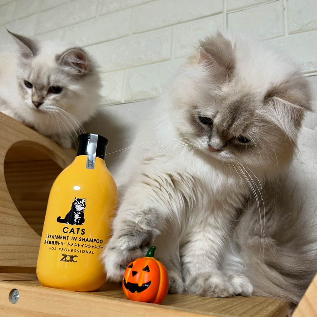 キャッツ アンバサダー ボイス