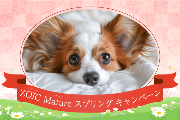 「2025 ZOIC Matureスプリングキャンペーン」開催のお知らせ