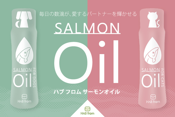 ハブ フロム サーモンオイル 新発売のお知らせ