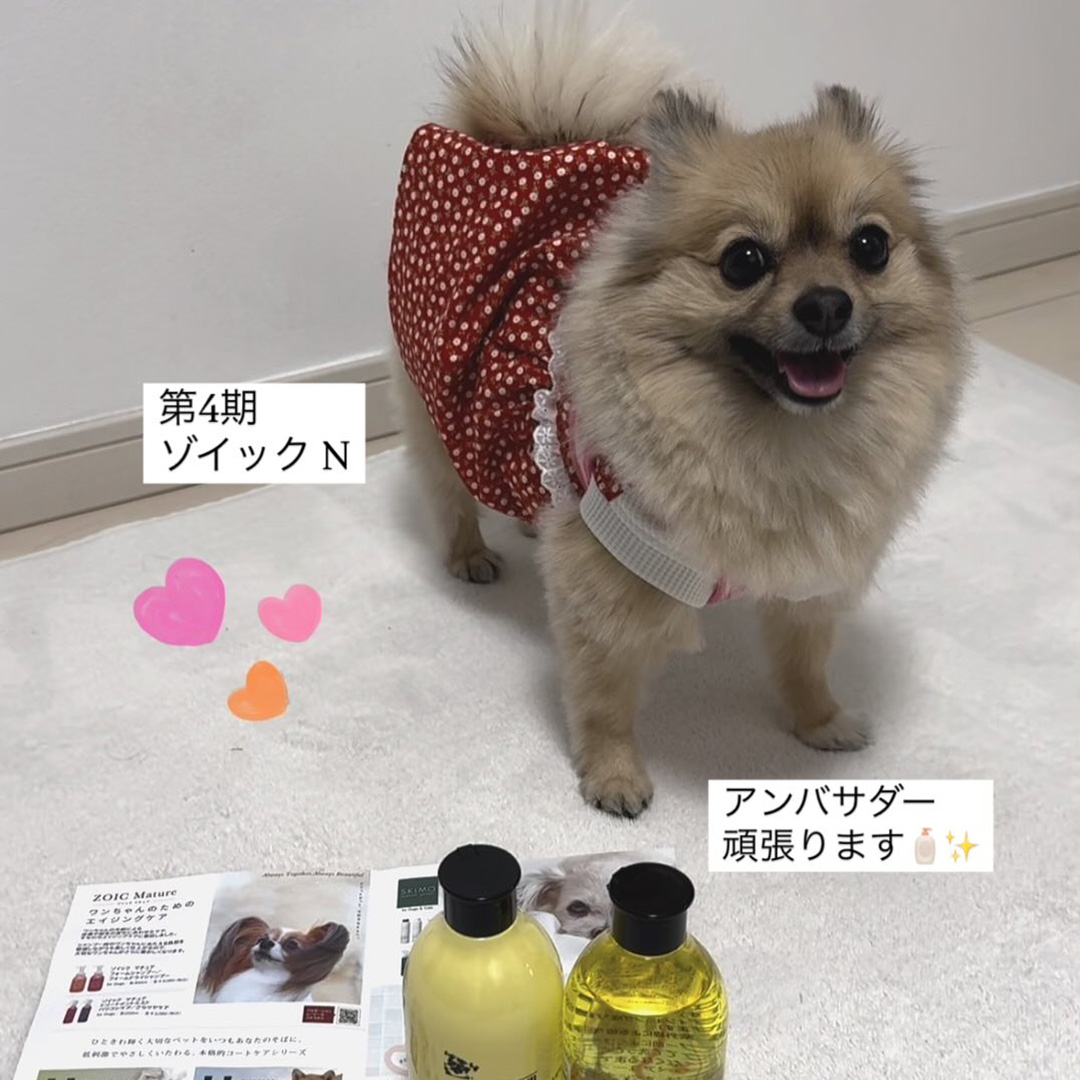 ゾイック N アンバサダー ボイス