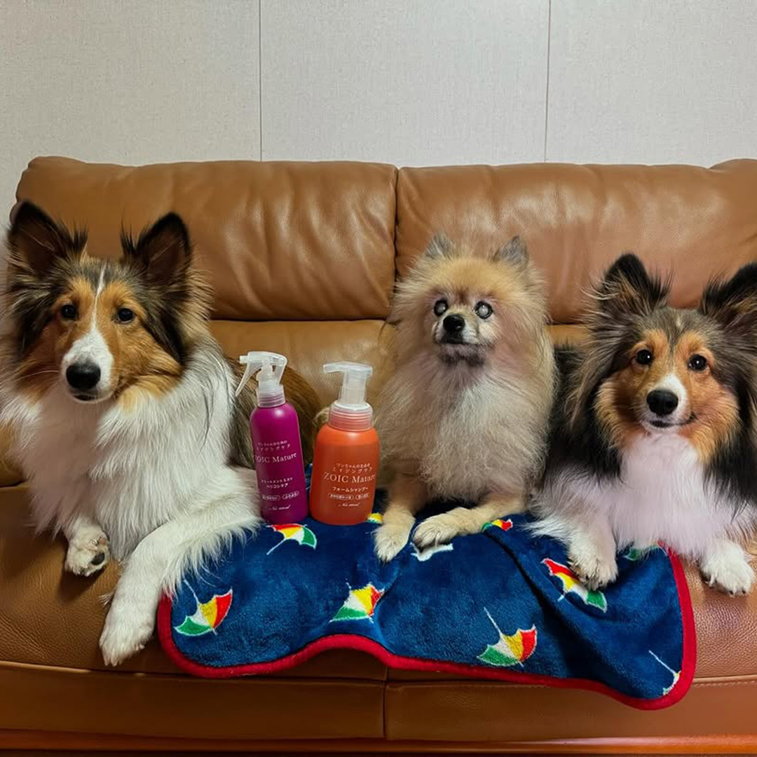 ゾイック マチュア アンバサダー ボイス