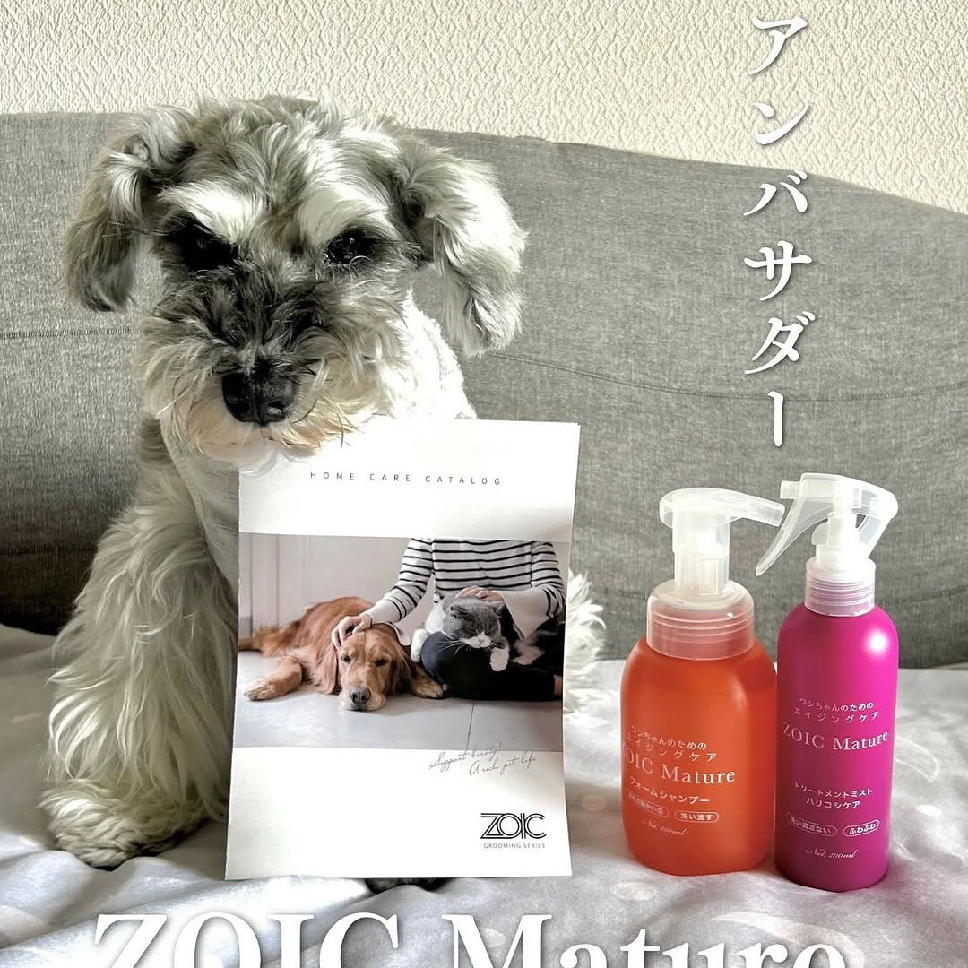 ゾイック マチュア アンバサダー ボイス