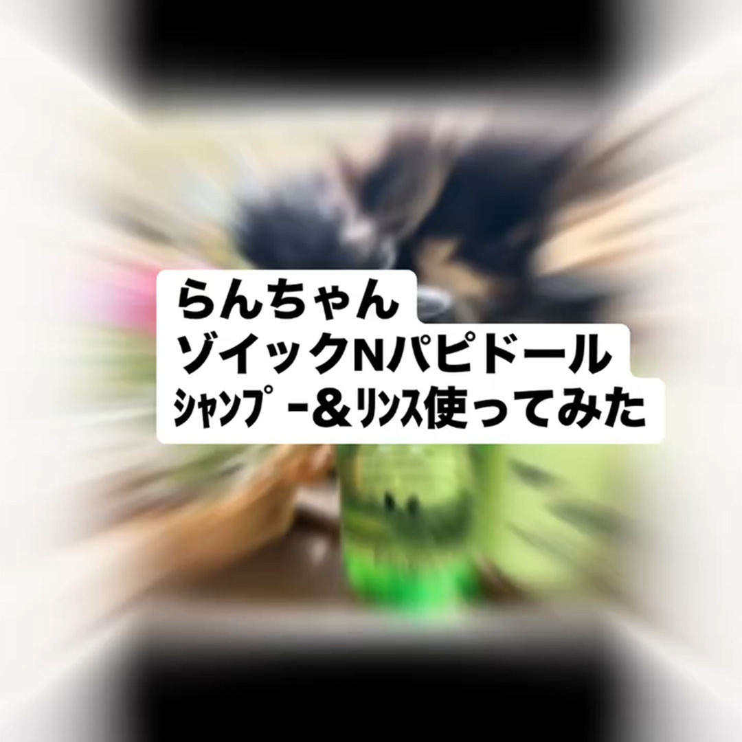 ゾイック N アンバサダー ボイス