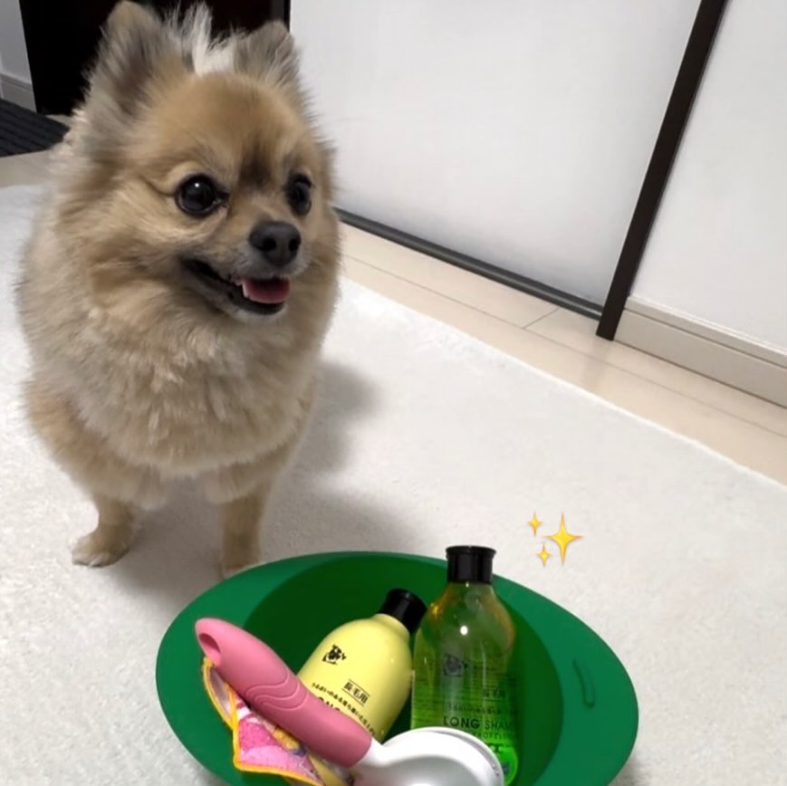 ゾイック N アンバサダー ボイス