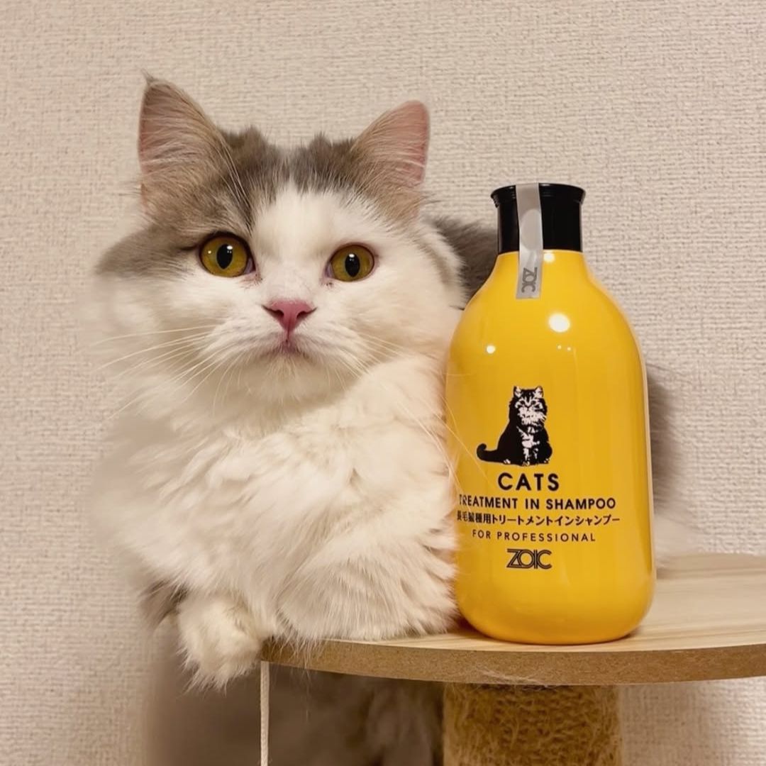 キャッツ アンバサダー ボイス