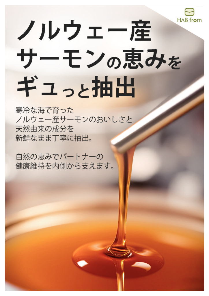 PR POP＜ノルウェー産サーモンの恵み＞ A4サイズ（2,242KB）