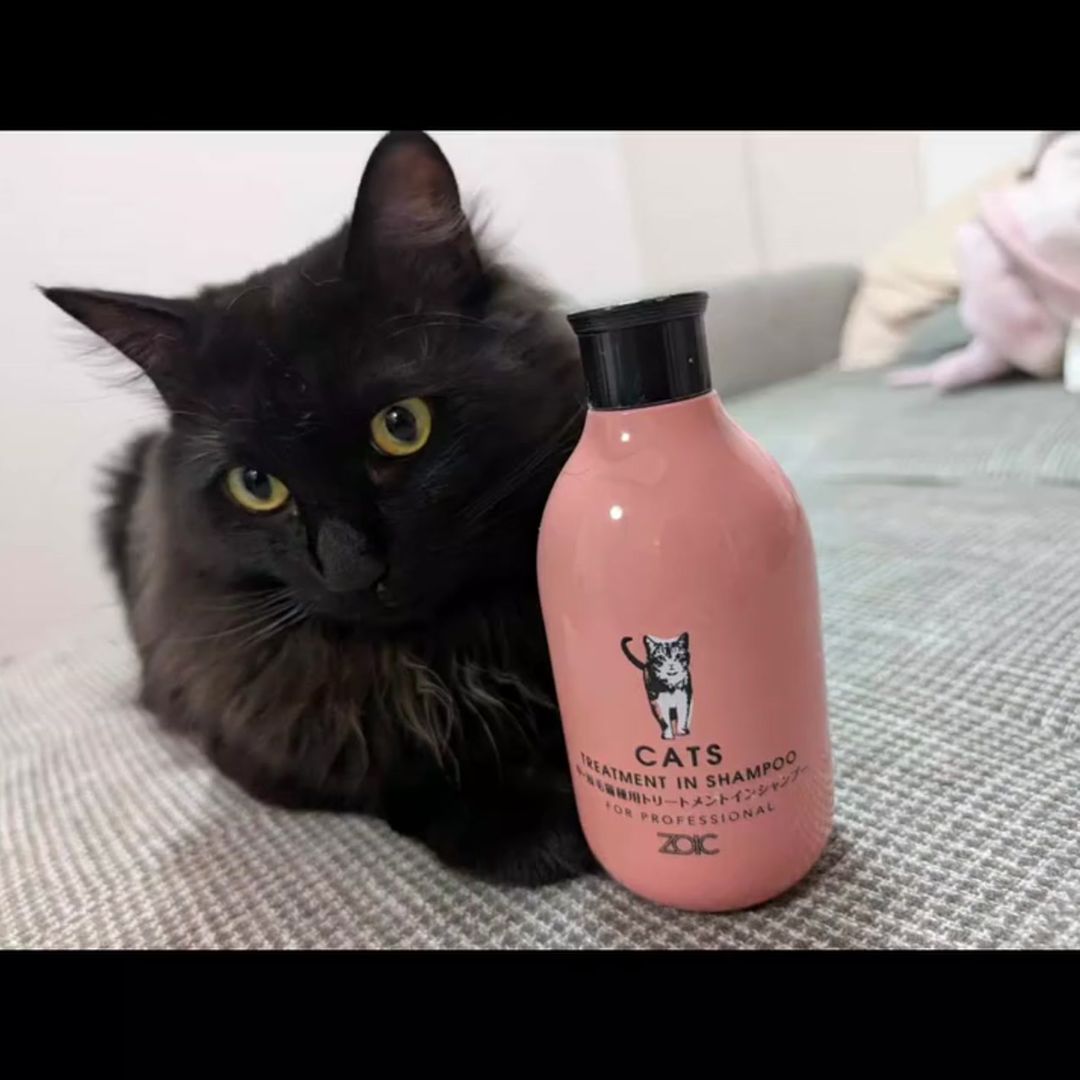 キャッツ アンバサダー ボイス