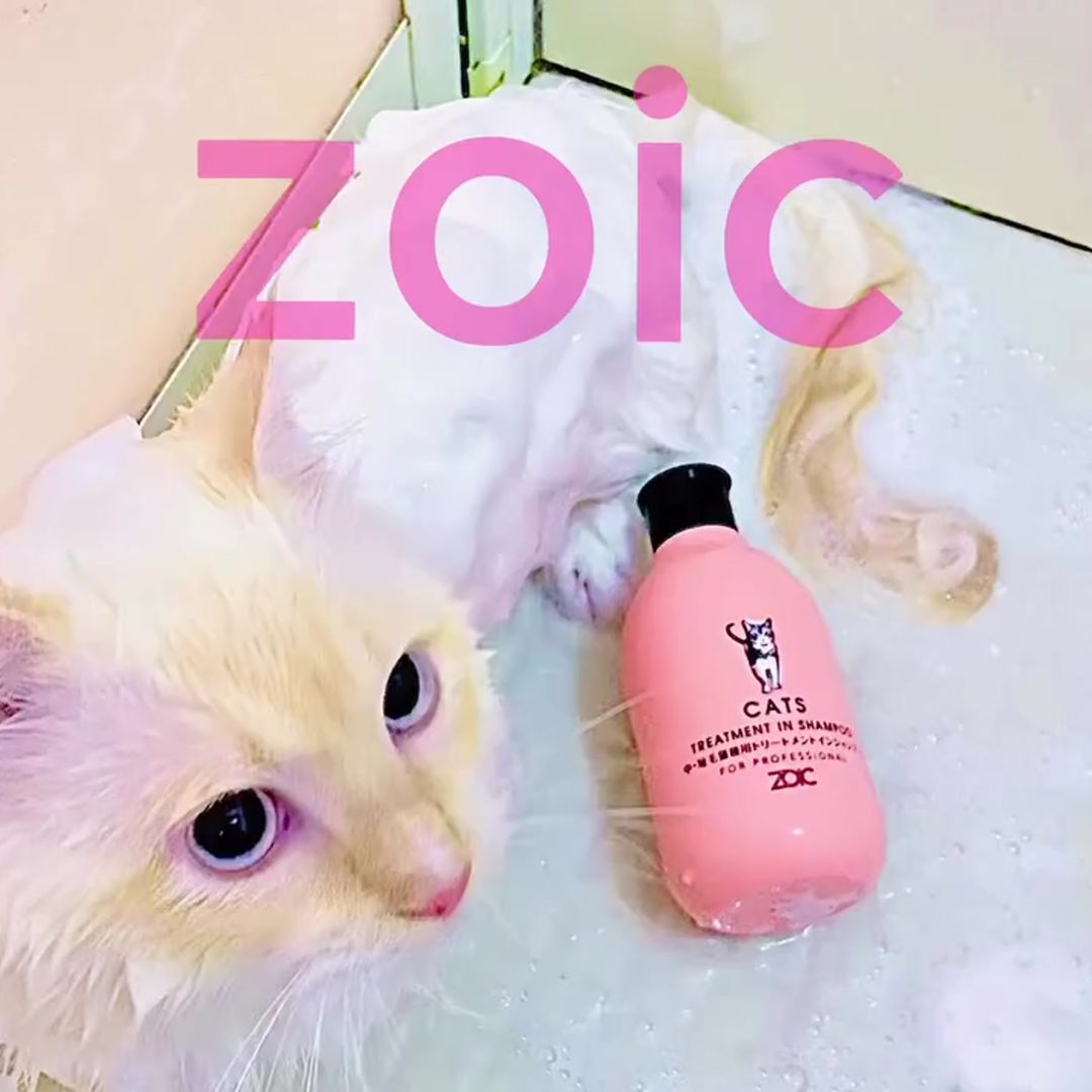 キャッツ アンバサダー ボイス