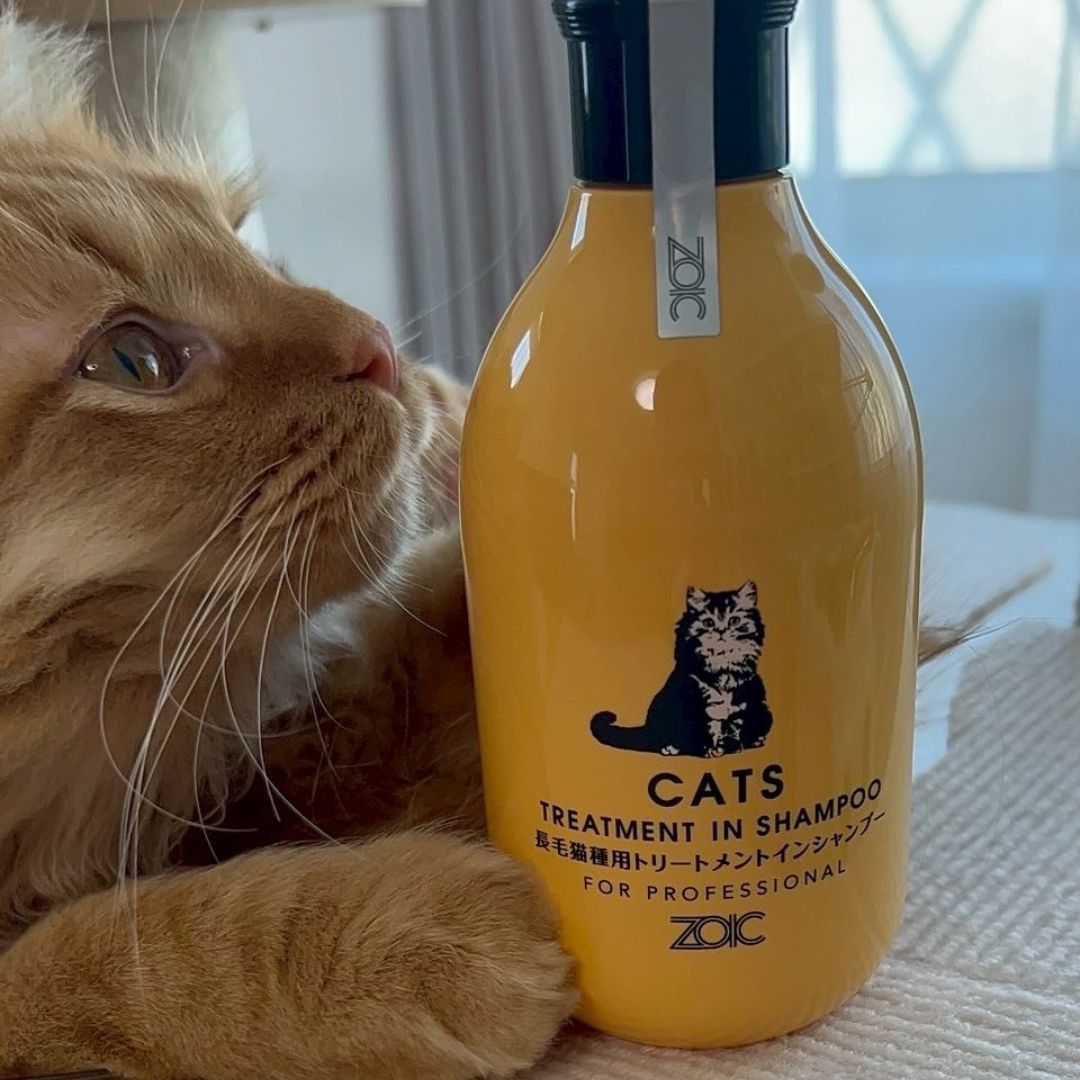 キャッツ アンバサダー ボイス