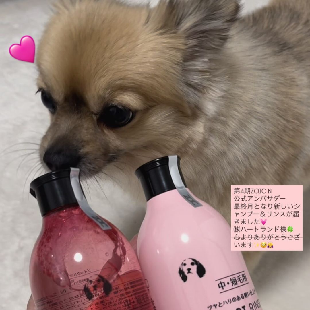 ゾイック N アンバサダー ボイス