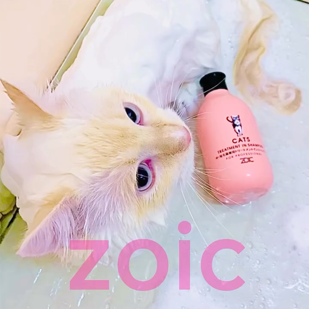 キャッツ アンバサダー ボイス