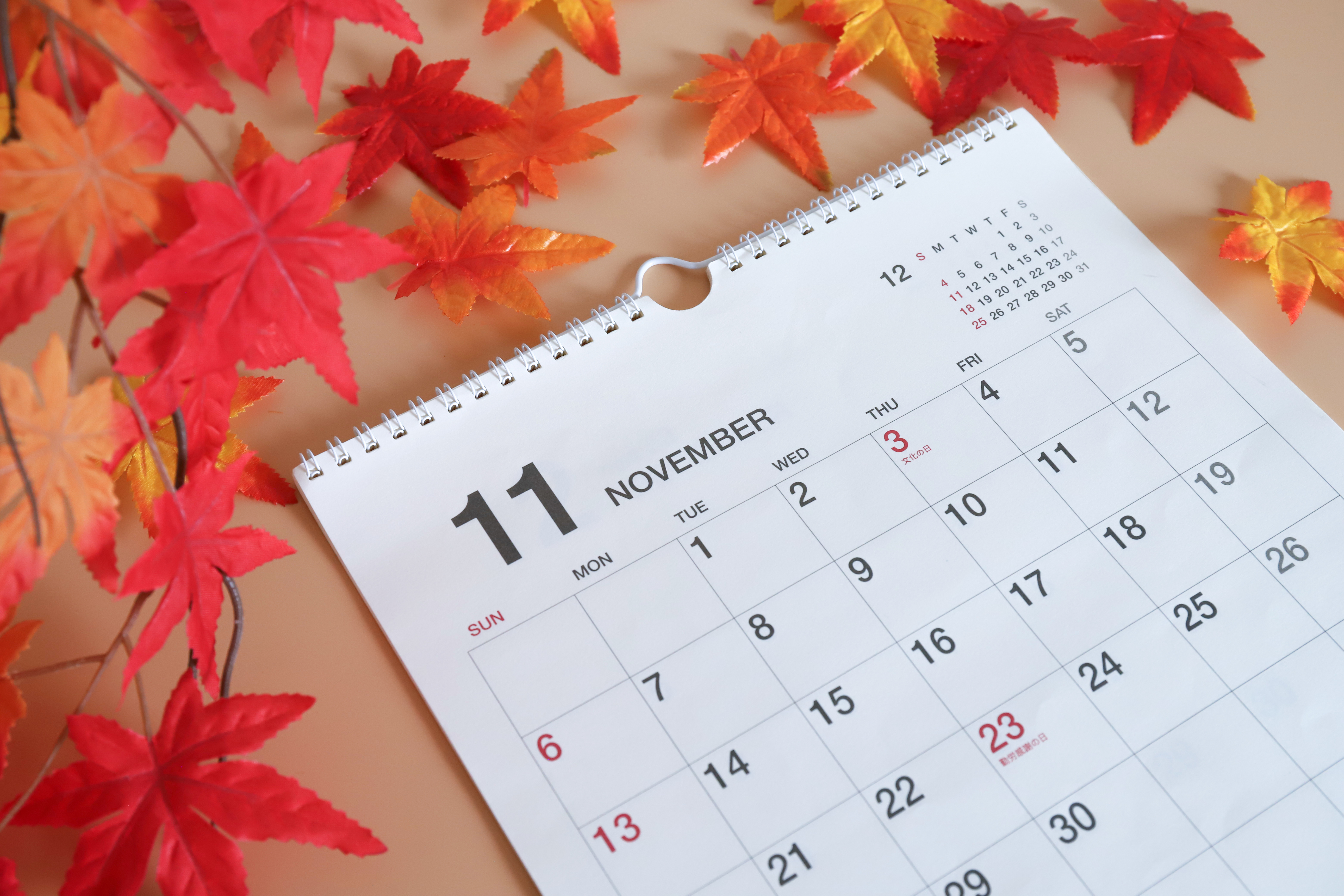 [ペットサロン経営]11月はどんなことに気を付けたらいい？